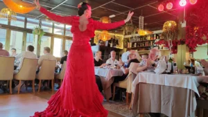 Flamenco Dinner
